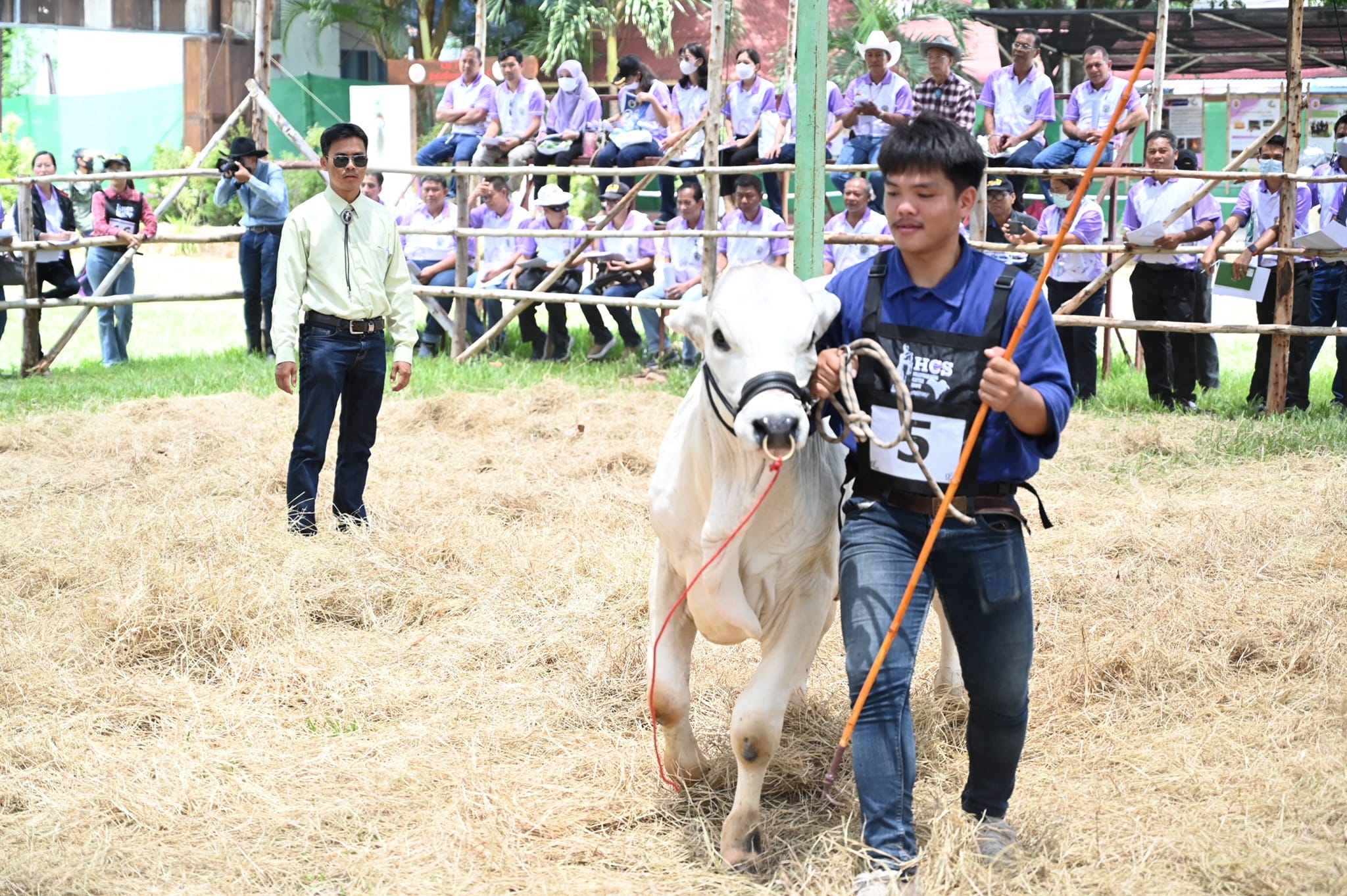 ปศุสัตว์ 2 1
