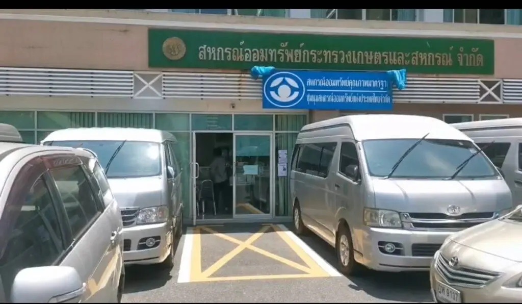 มนัญญา 1