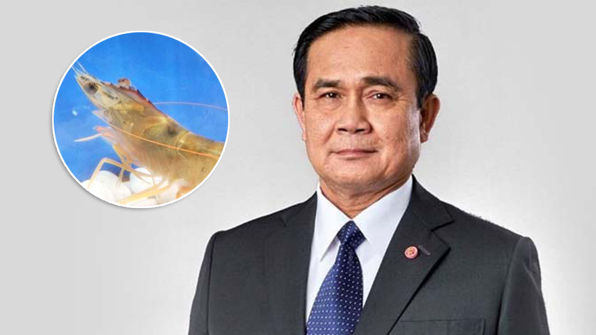 วิจัยสัตว์น้ำ3