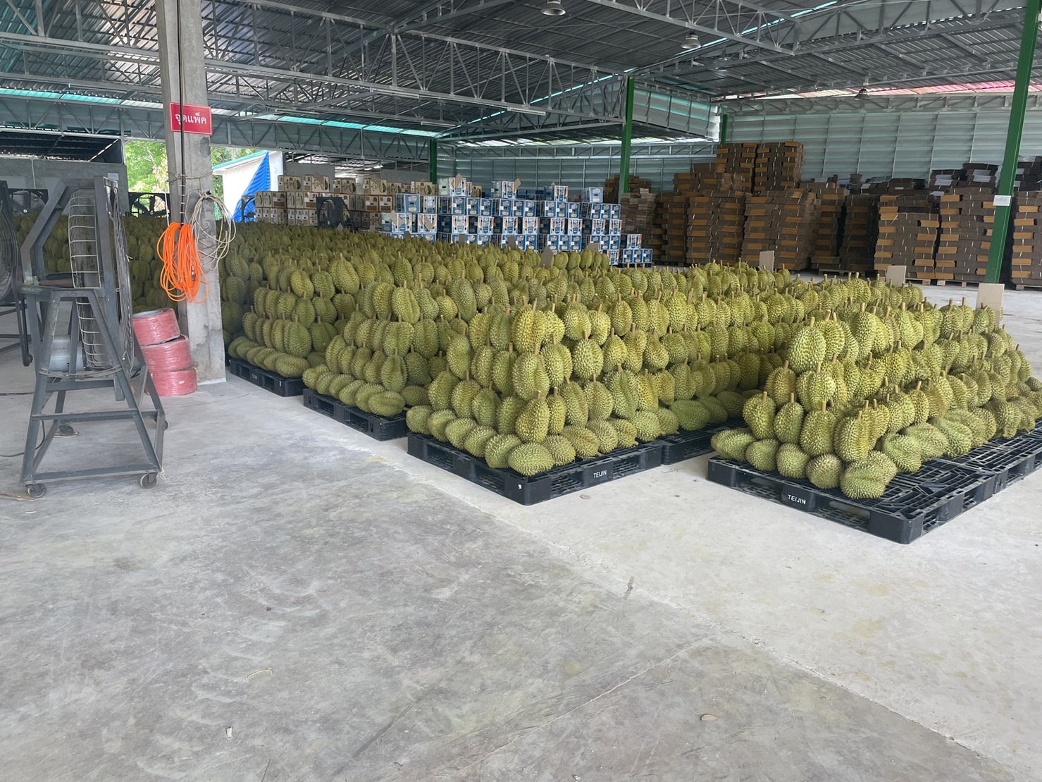 ศรี 2