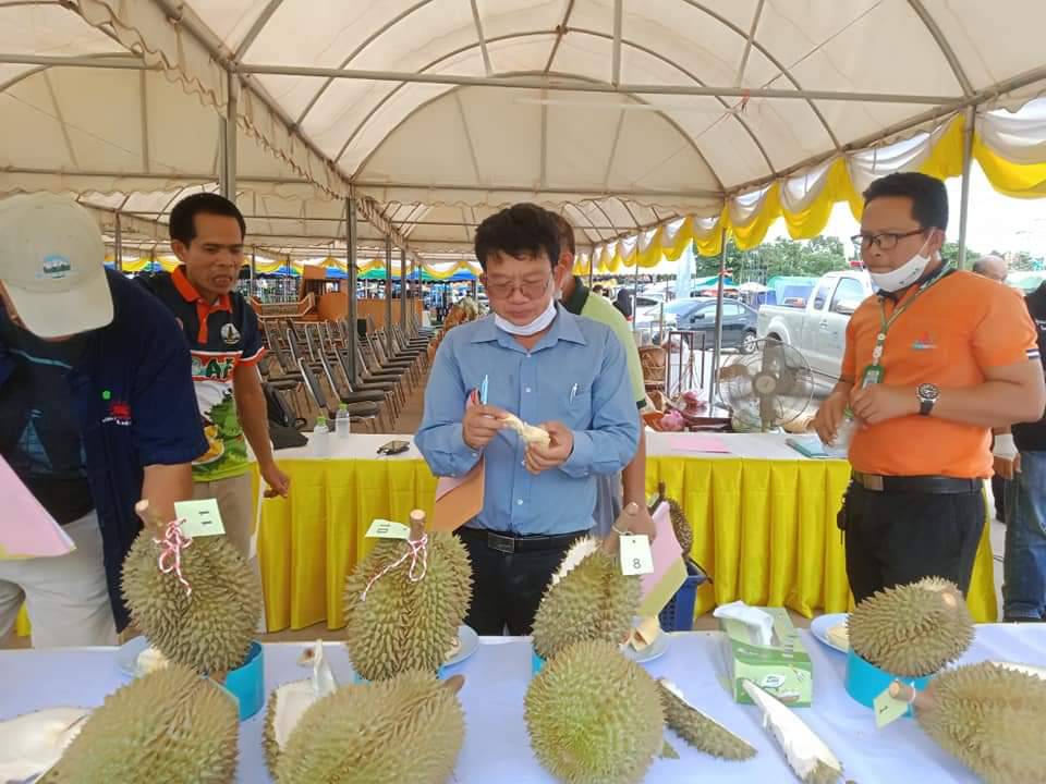 ศรี 3 1