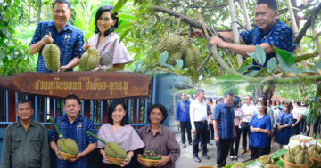 สวนทุเรียน3 1