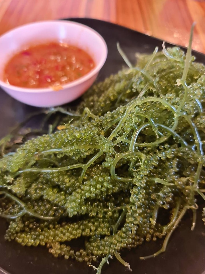 สาหร่าย 10