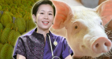 สินค้าควบคุม3