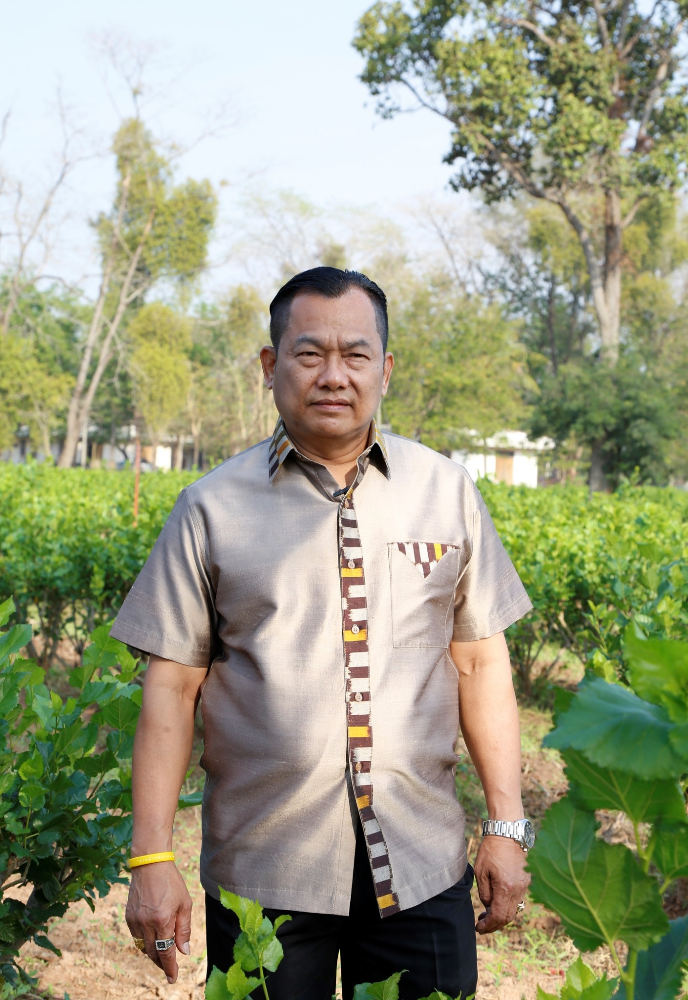 หม่อนไหม 1