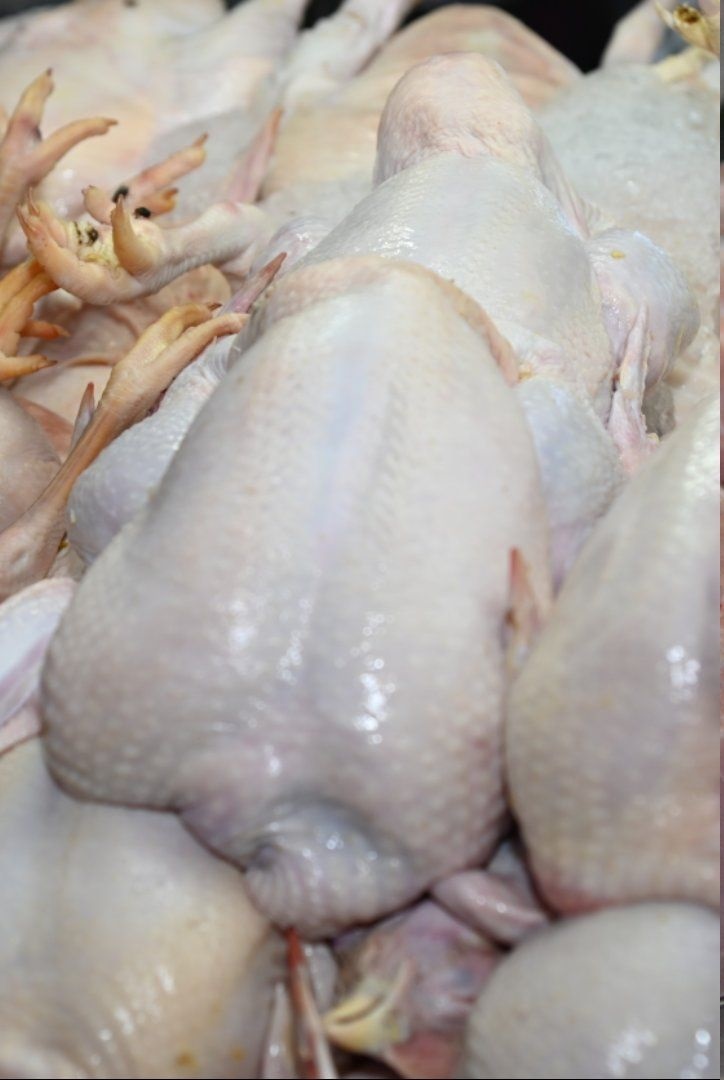 ไก่เนื้อไทยฉลุย ส่งออกเนื้อไก่ปรุงแต่งอันดับ 1 โลก พบมีผู้เลี้ยงกว่า 3 หมื่นราย ผลิตได้ปีละ 3 ตัน 2 ไก่แช่แข็ง