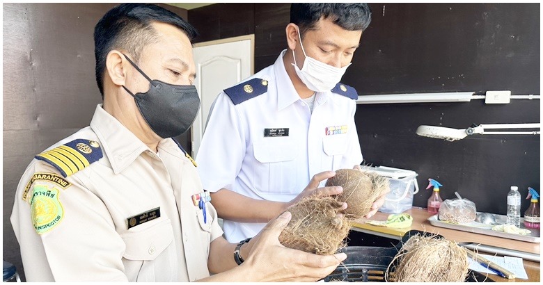 กรม 1