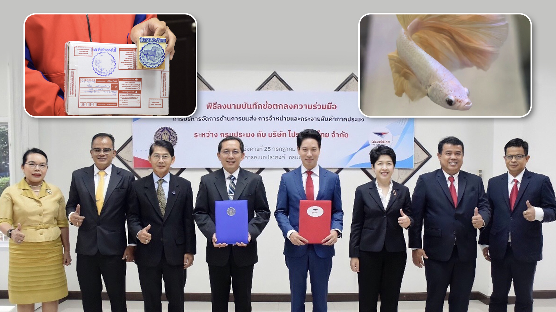กรม 17