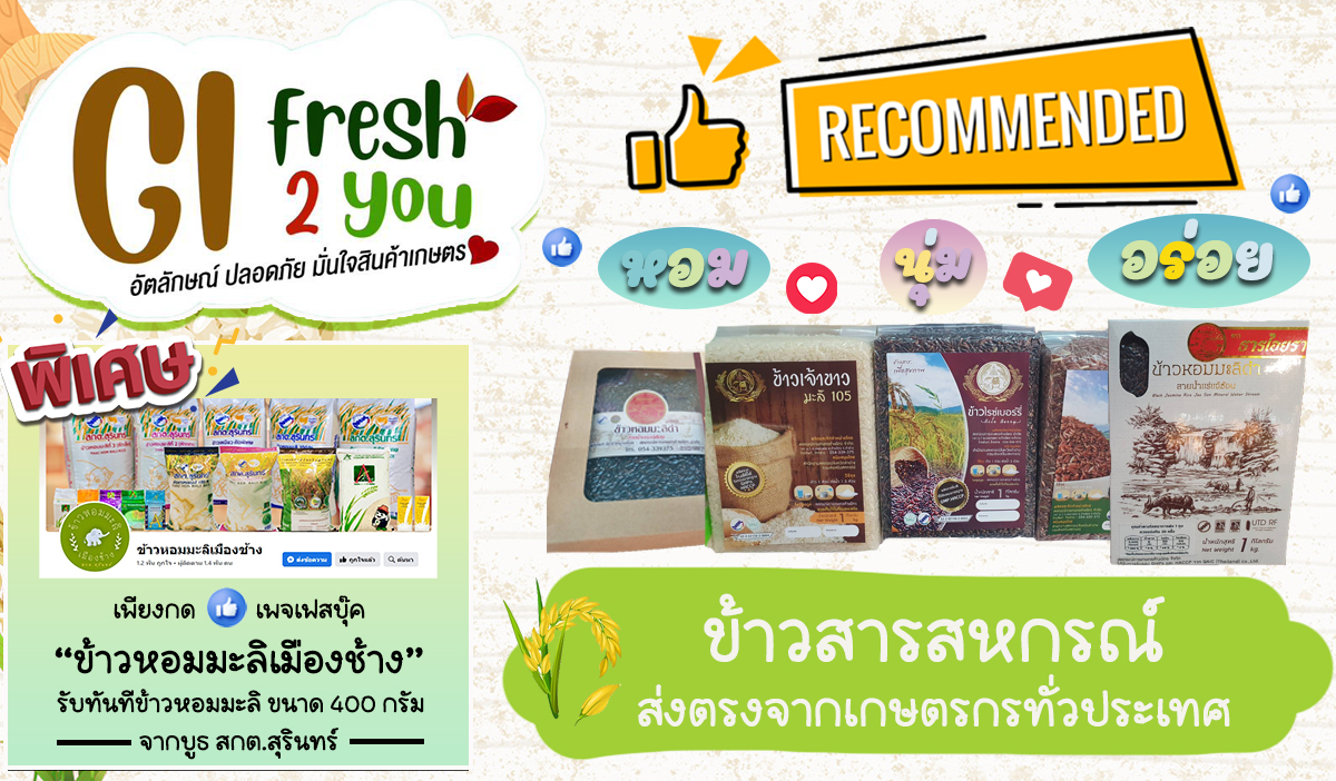 ข้าวหอมมะลิ6