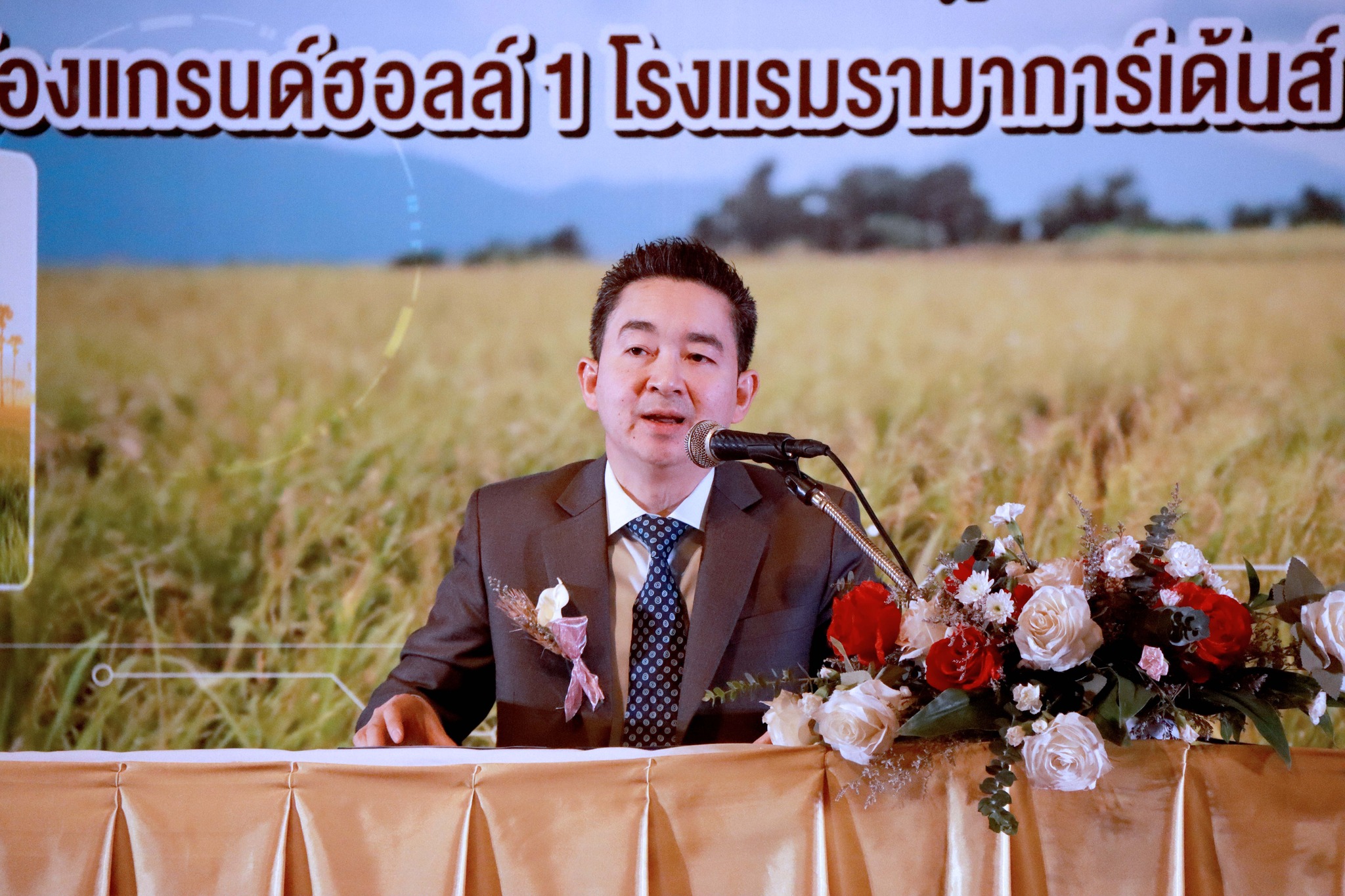 ข้าวไทย