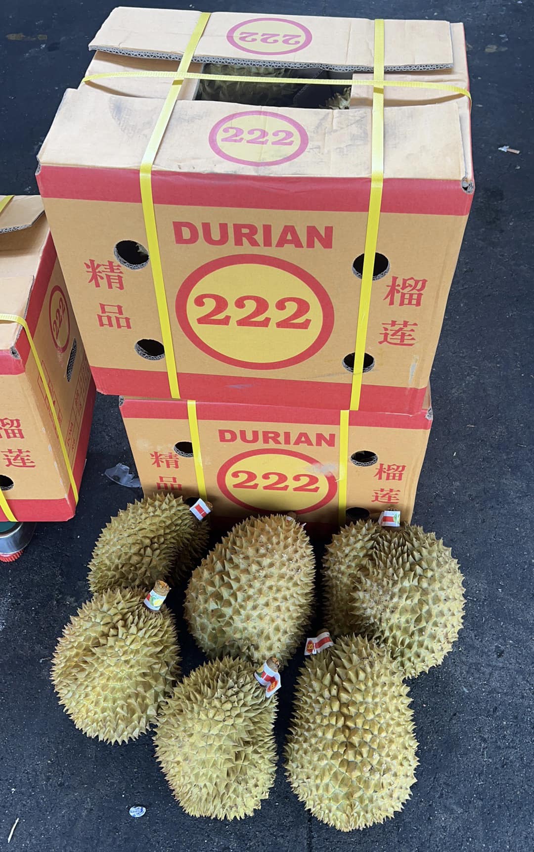 ทุเรียน 3 1