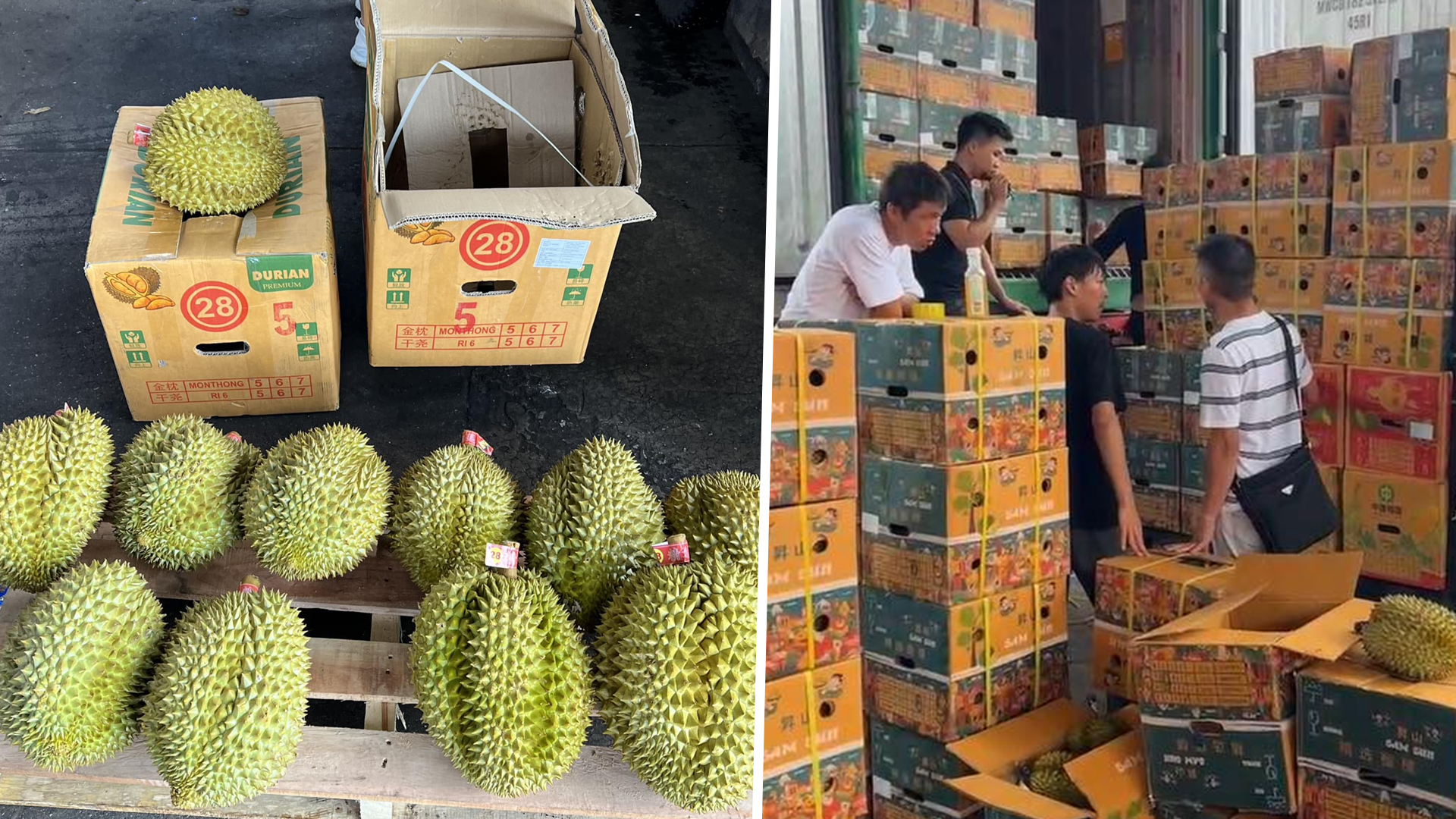 ทุเรียน