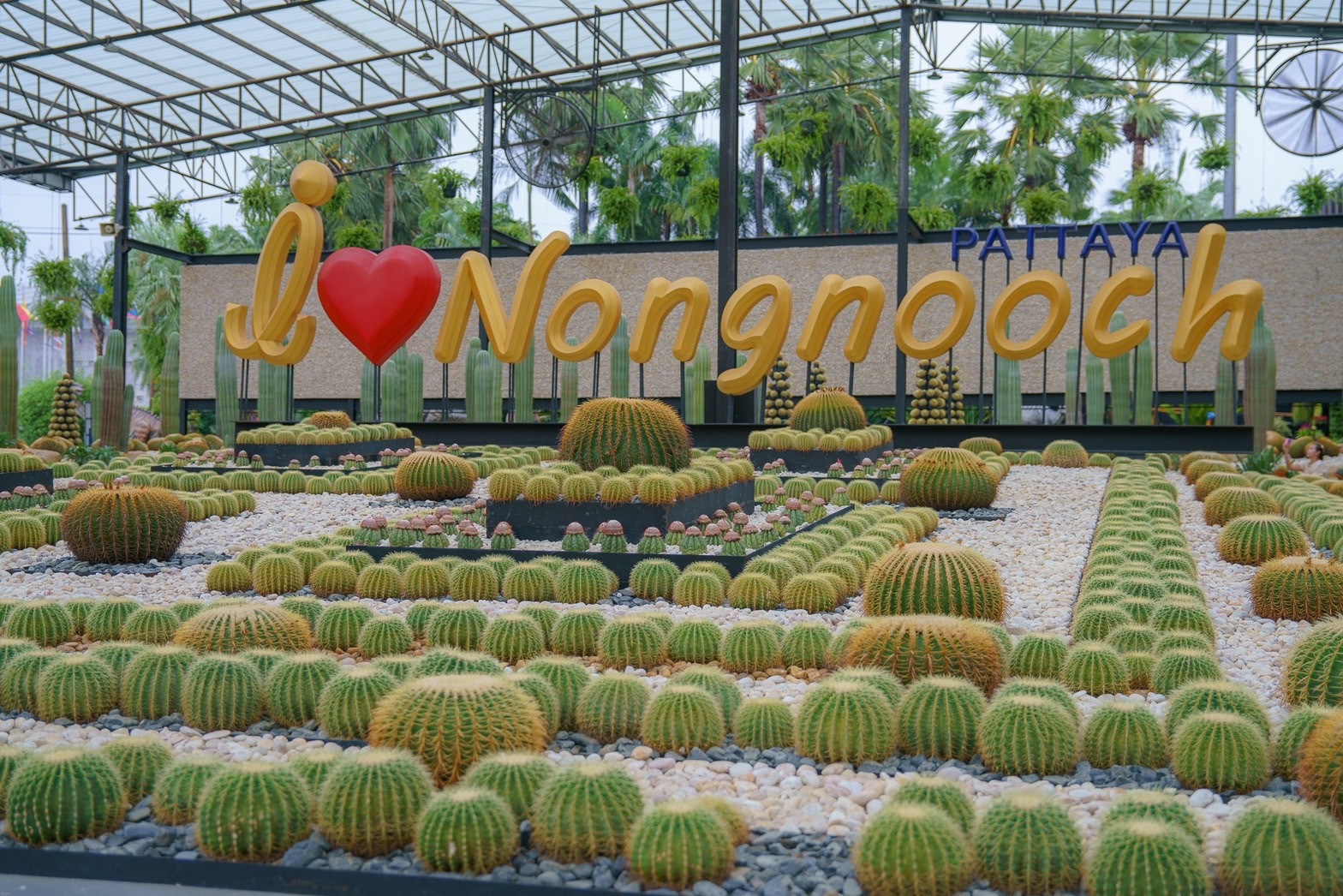 นงนุช 6