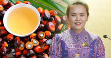 ปาม2