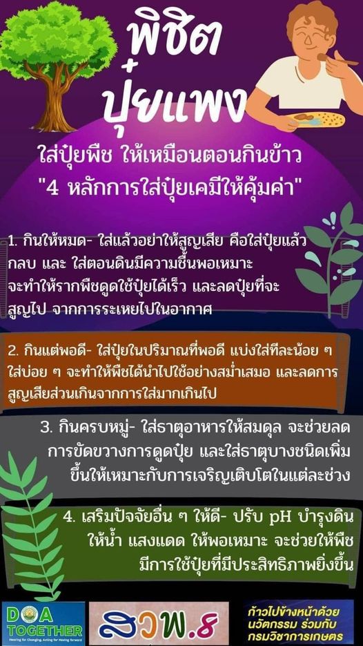 ปุ๋ย 4