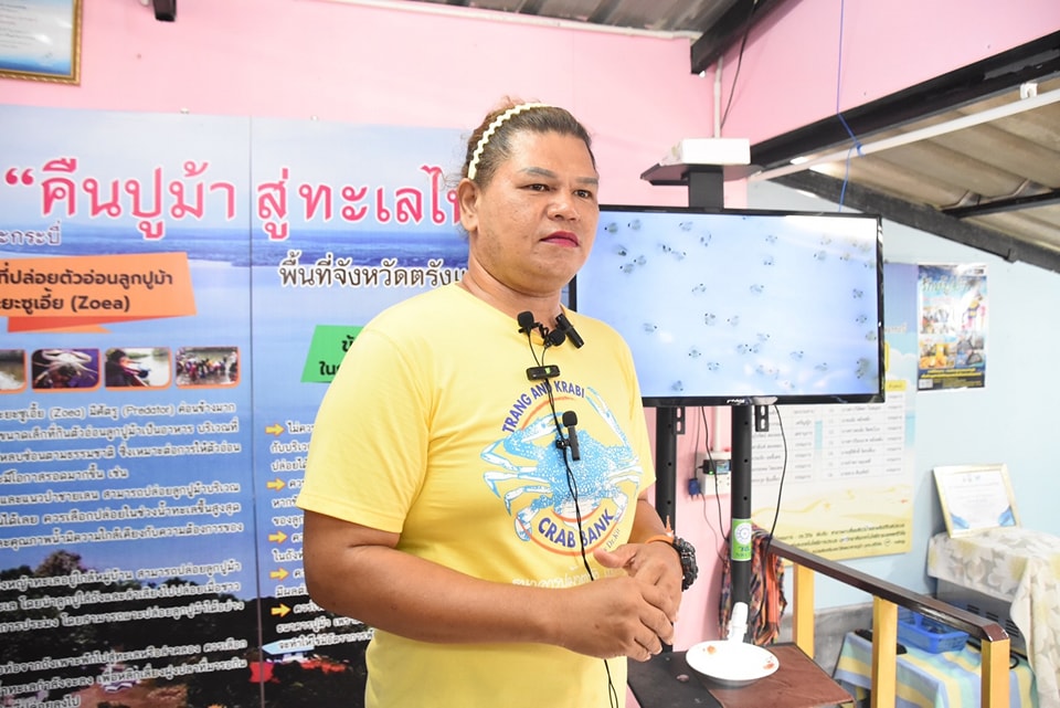 ปูม้า 3