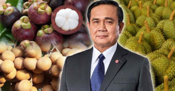 ผลไม้ไทย3
