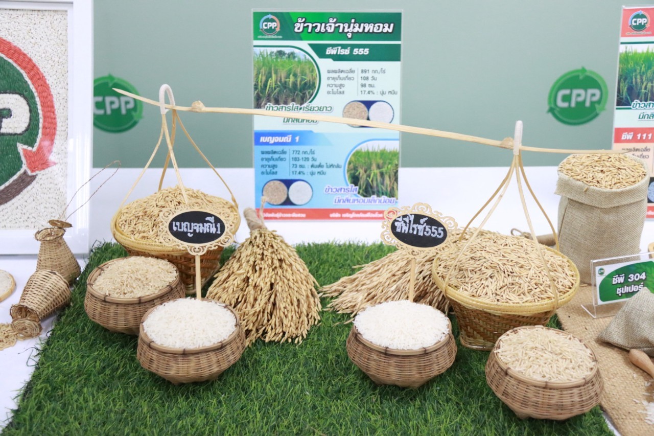 พันธุ์ข้าว 1 1