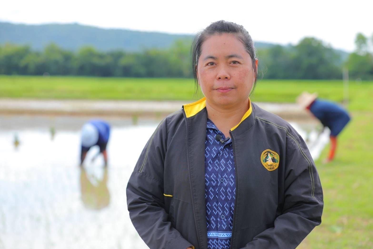 พันธุ์ข้าว