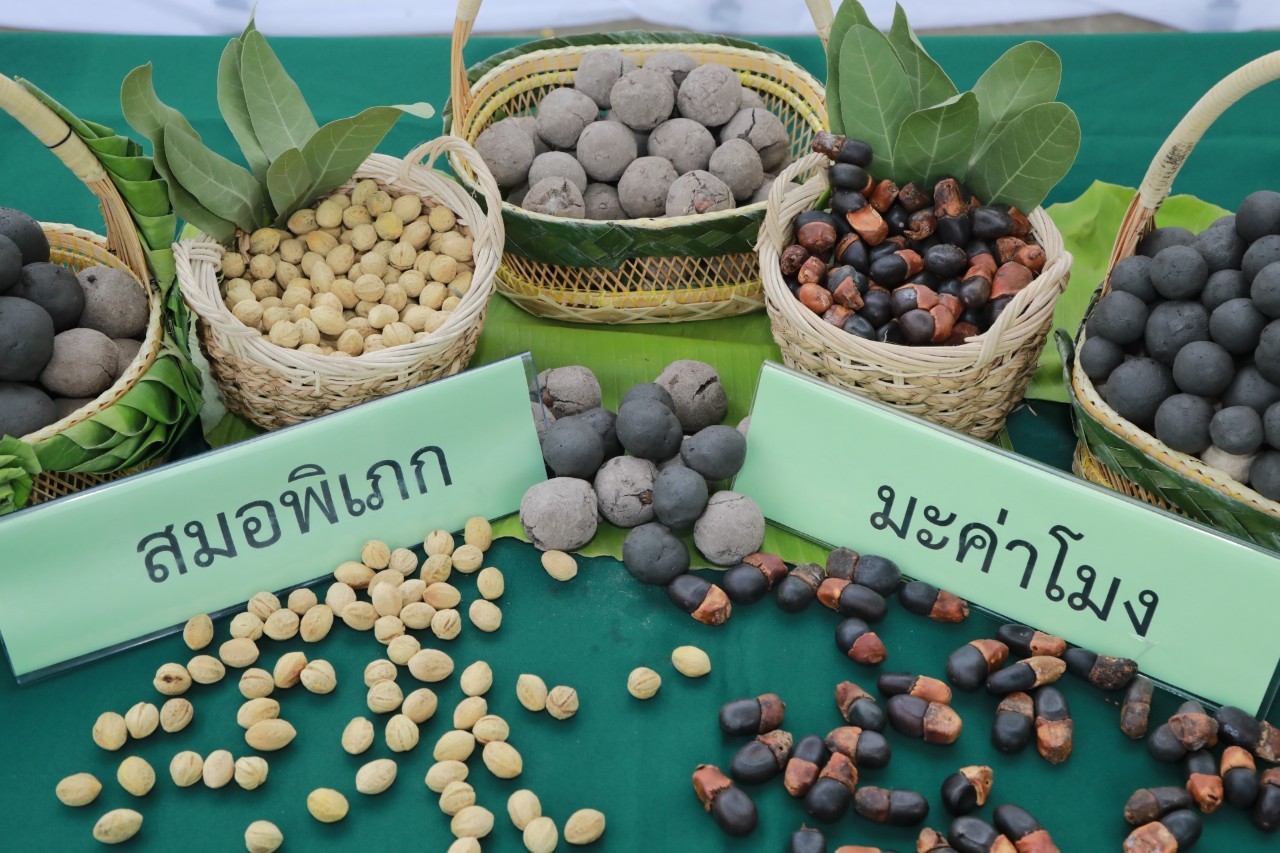 ภาพข่าวฝล 8
