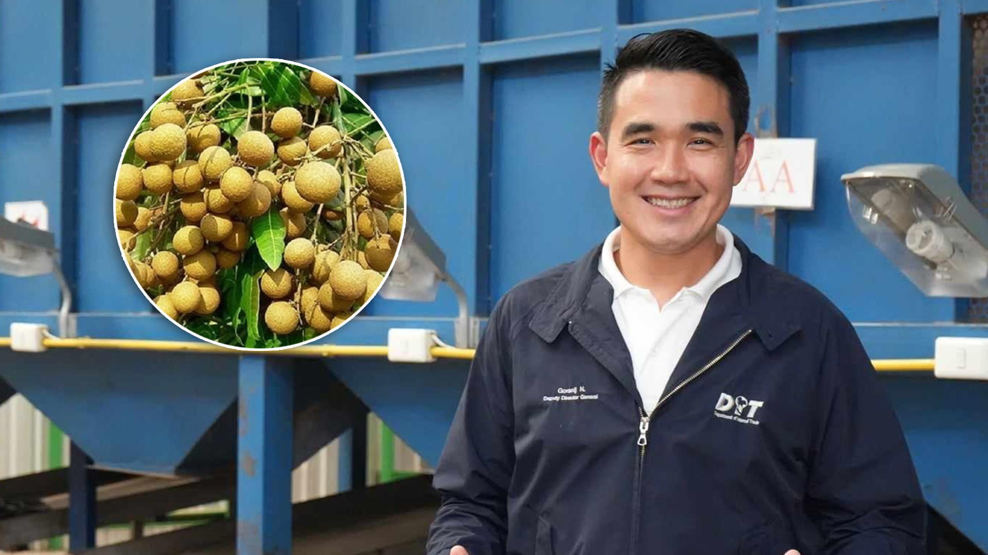 ลำไย3