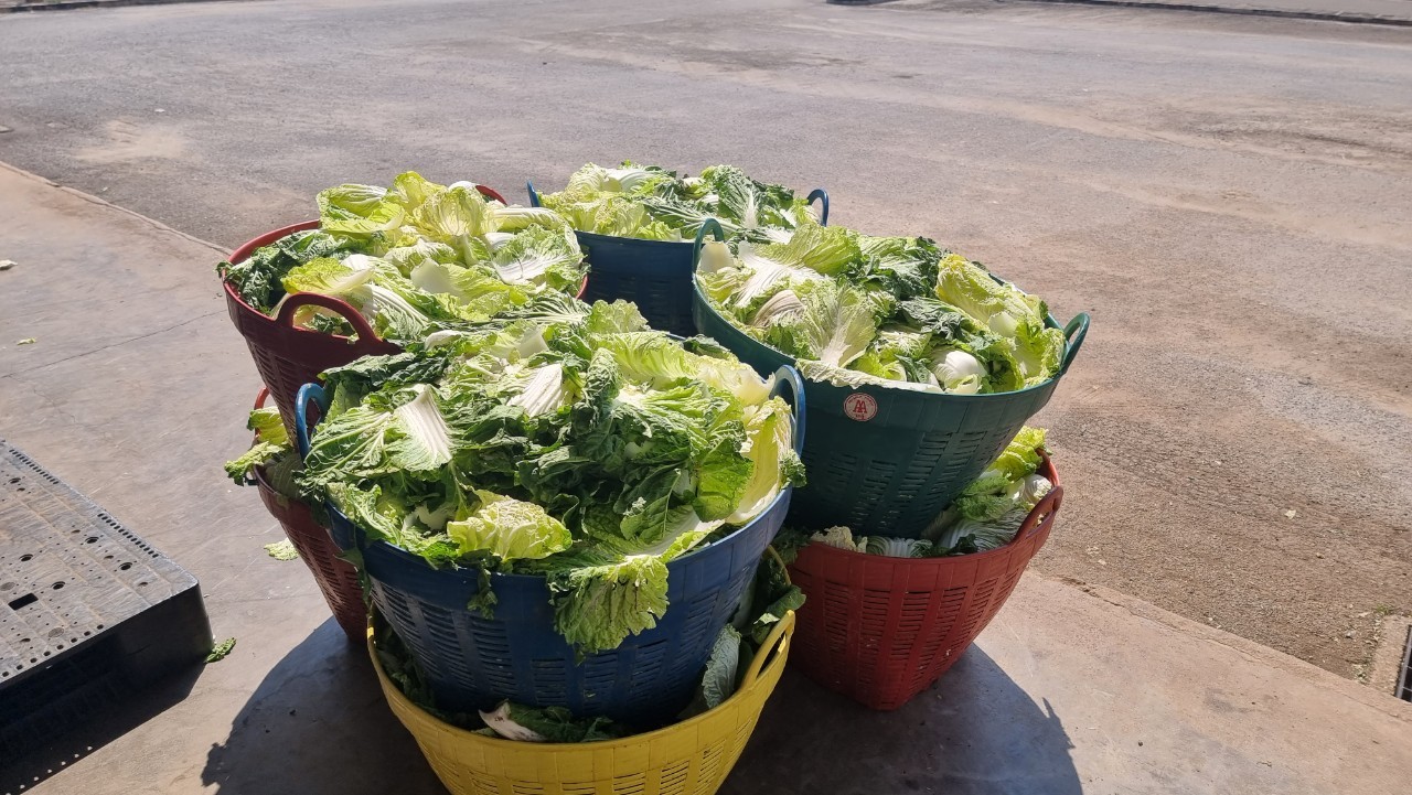 สศก 6