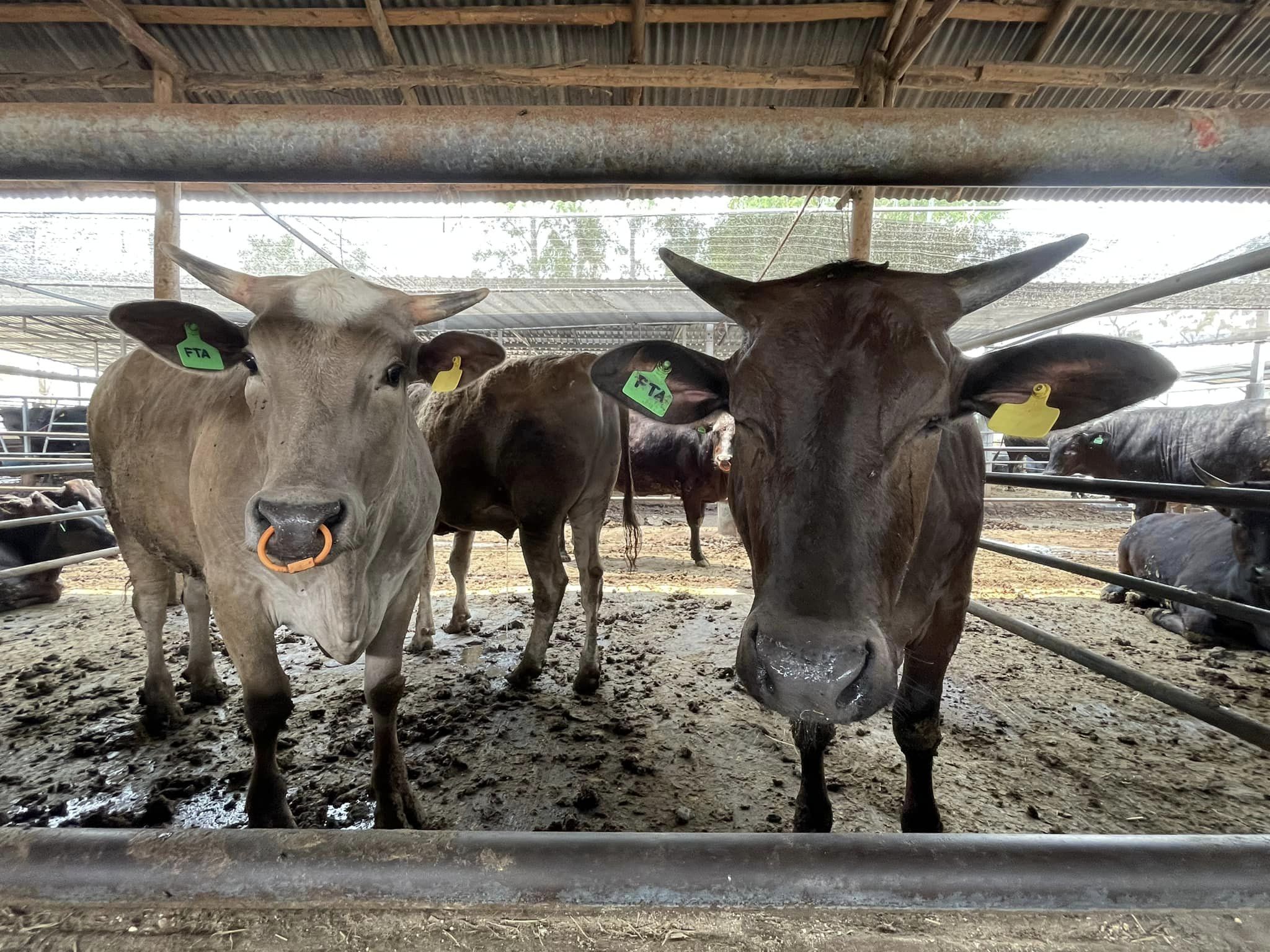 สศก 8 1