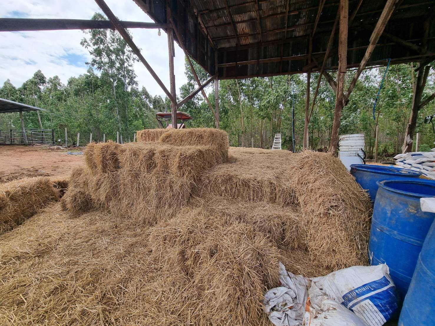 สศก. 1