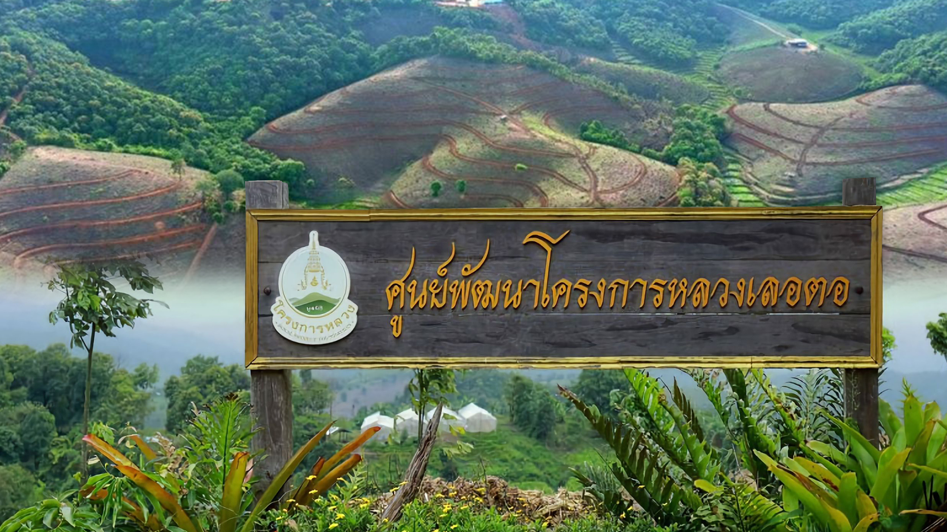 หลวงเลอตอ3