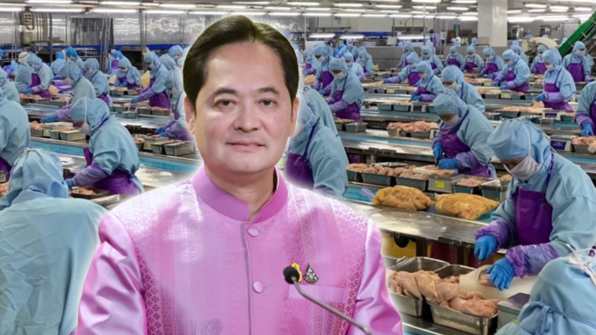 ไก่แช่แข็ง3
