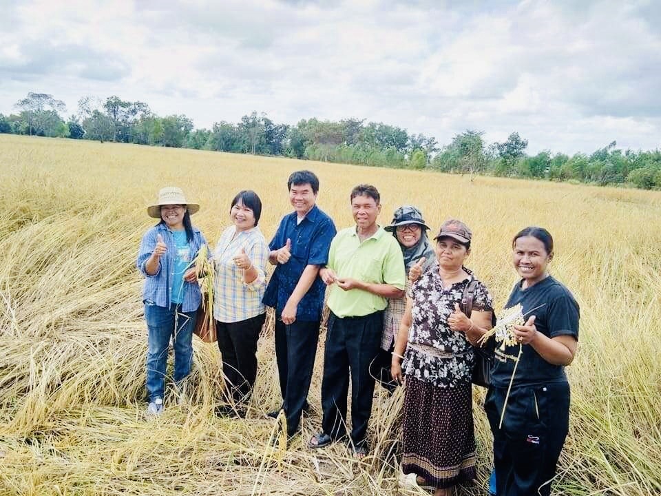 กรมส่งเสริมการเกษตรแต่งตั้งอาสาสมัครเกษตรหมู่บ้าน (อกม.) ชุดใหม่ พร้อมปฏิบัติหน้าที่ช่วยเหลือเกษตรกรในพื้นที่ทันที 5 9E9B9D7E 9480 4C46 9D68 BC0486295DDD