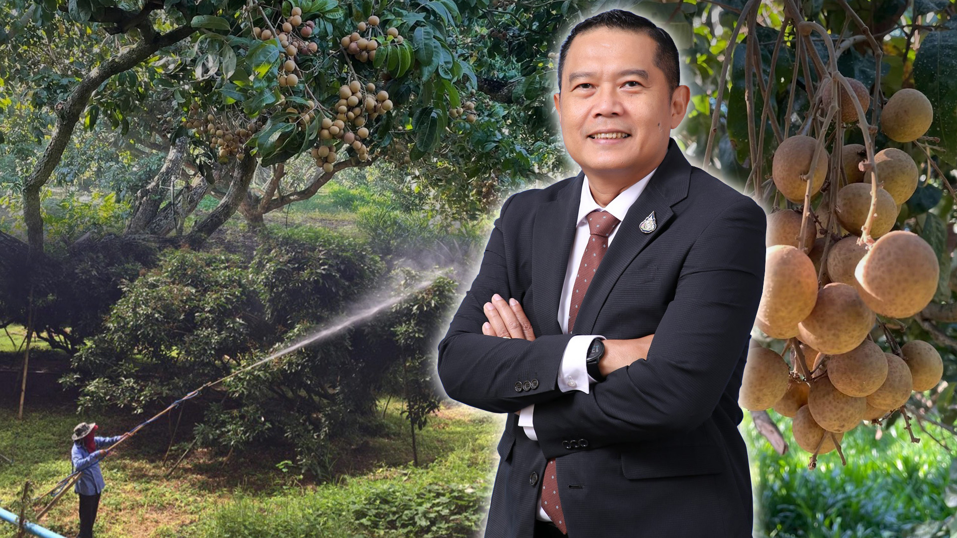 กรม 1