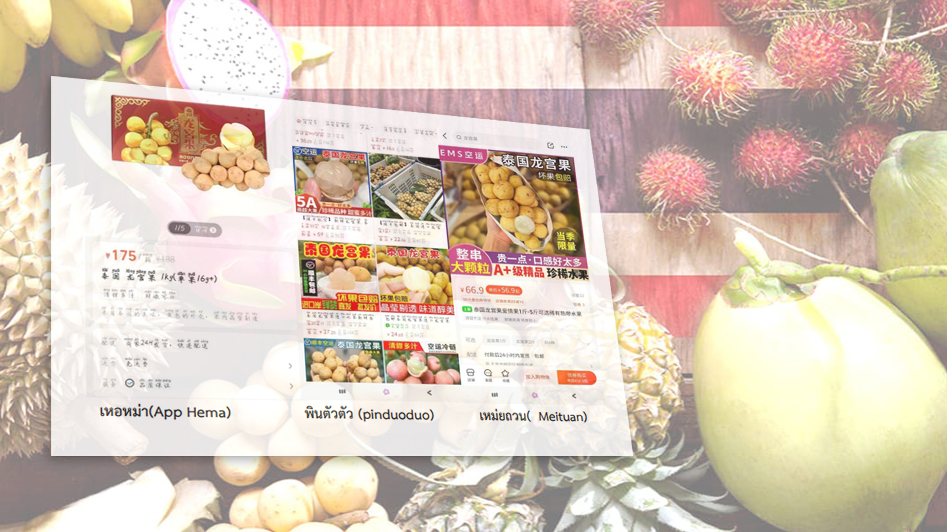 ขายปลีกผลไม้3