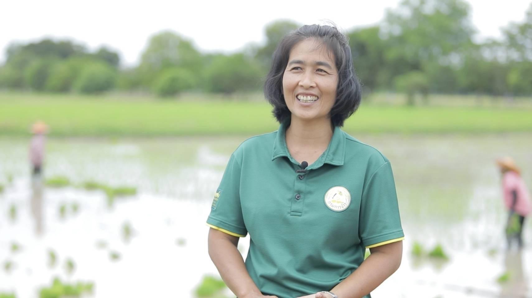 ข้าว 6