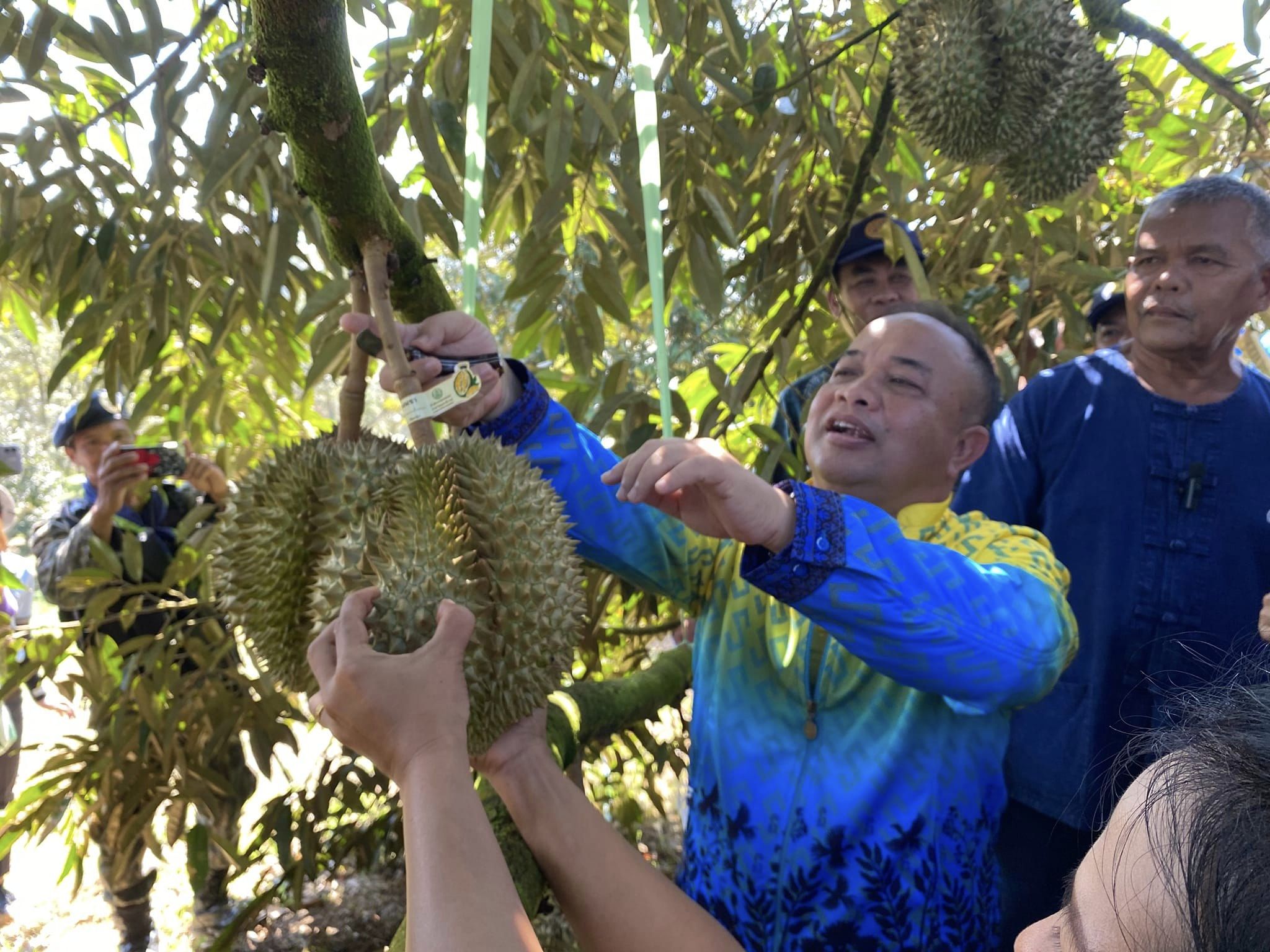 บางนรา