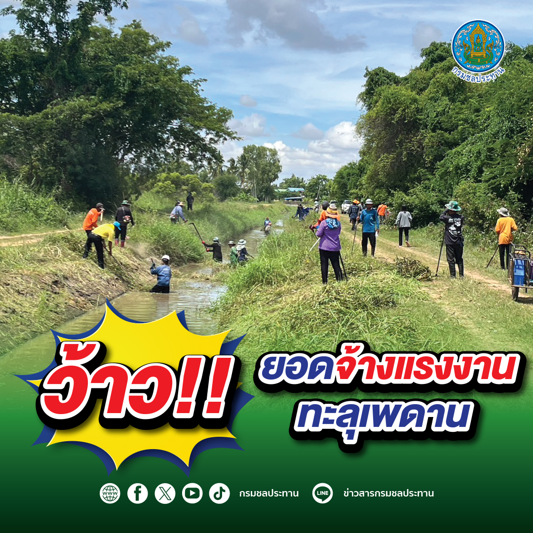 ปก จ้างแรงงาน 2