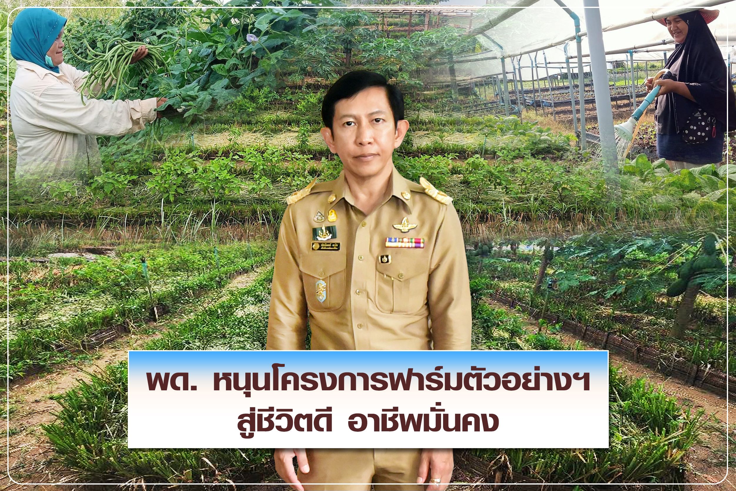 พด
