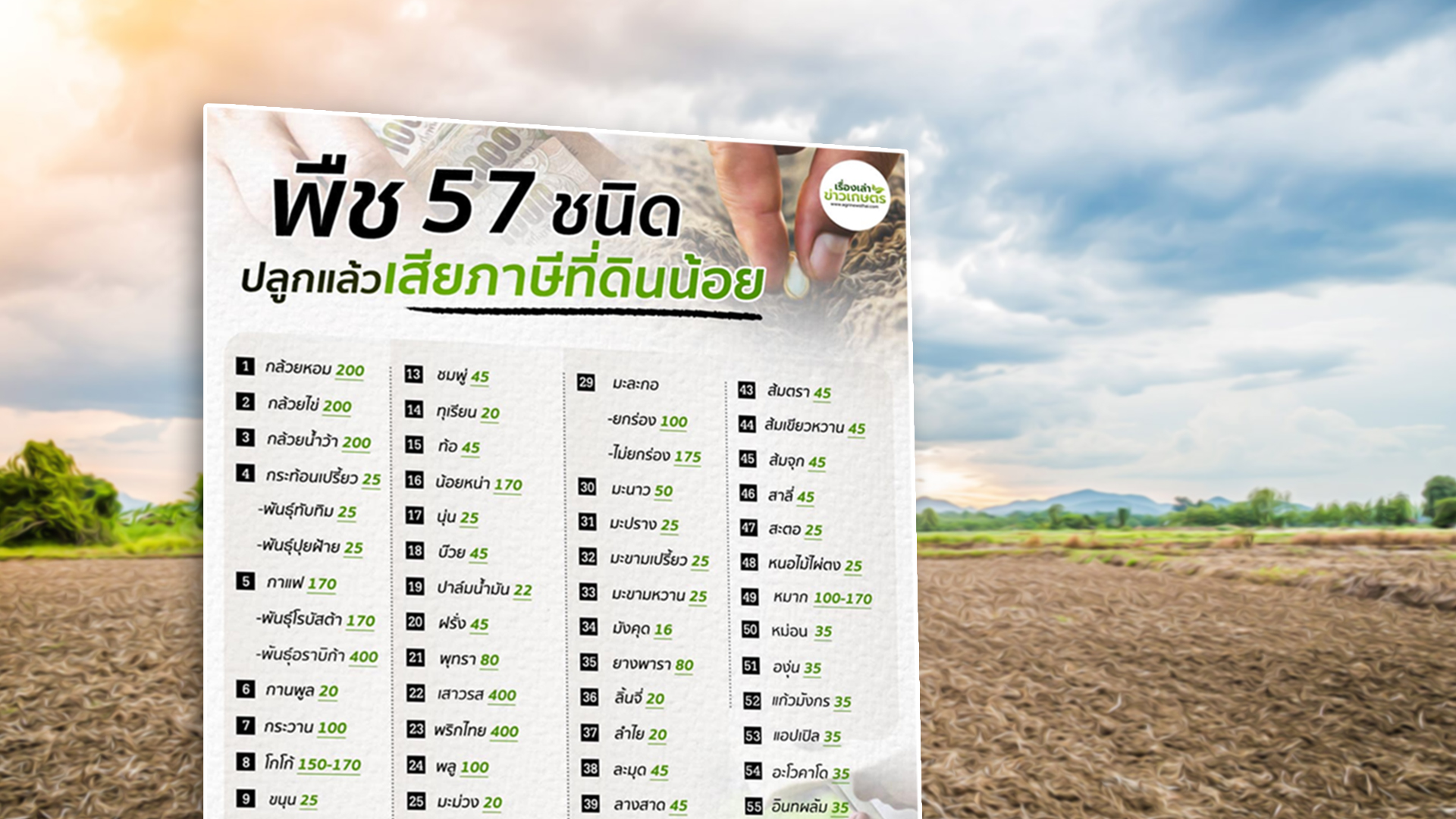 พืช3