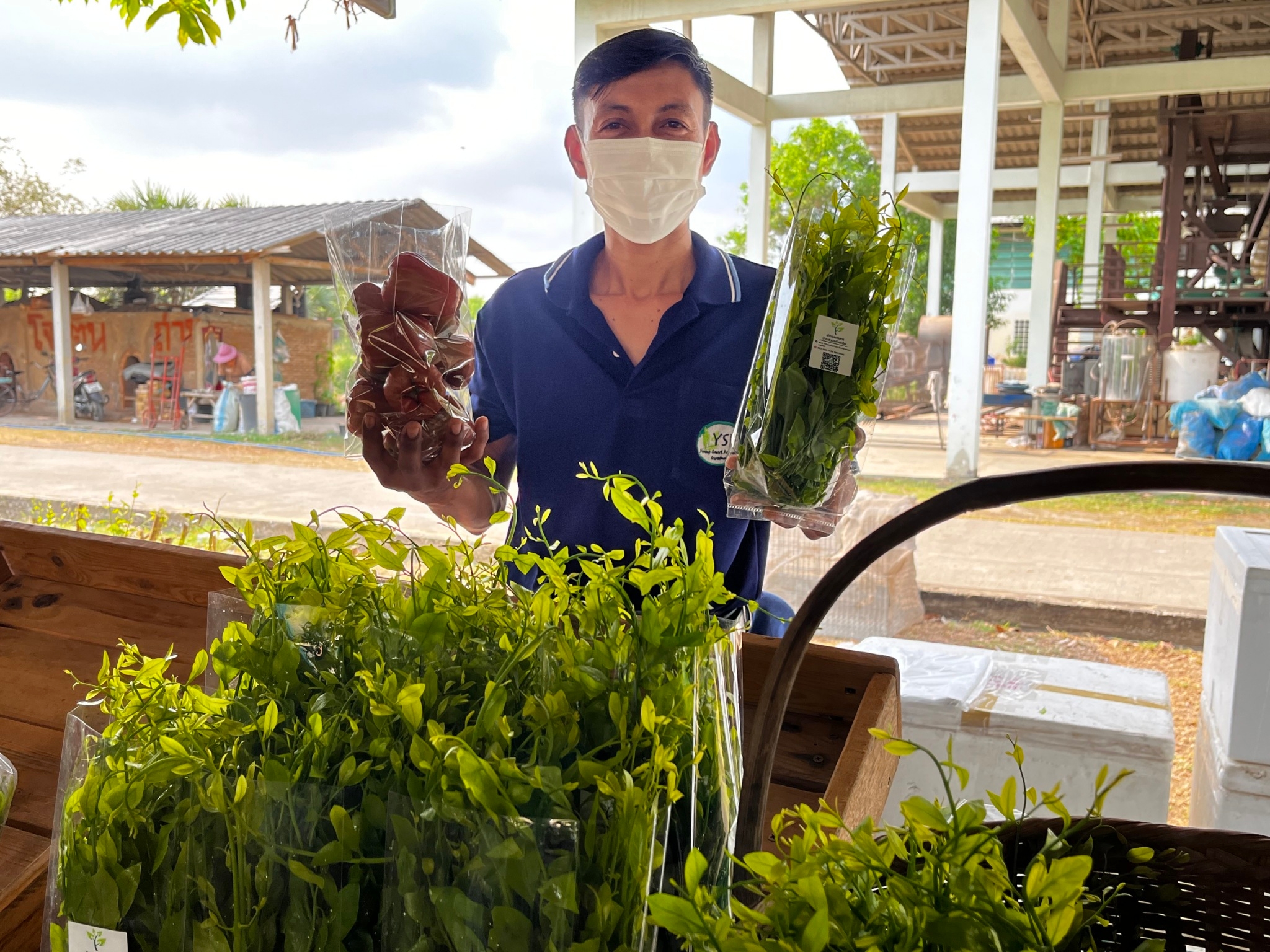 ภาพ พกฉ3