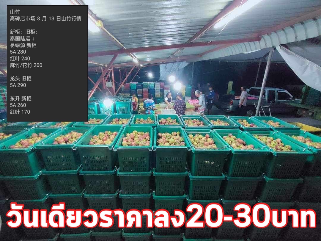 มัง 1