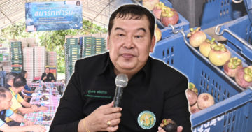 มัง 13