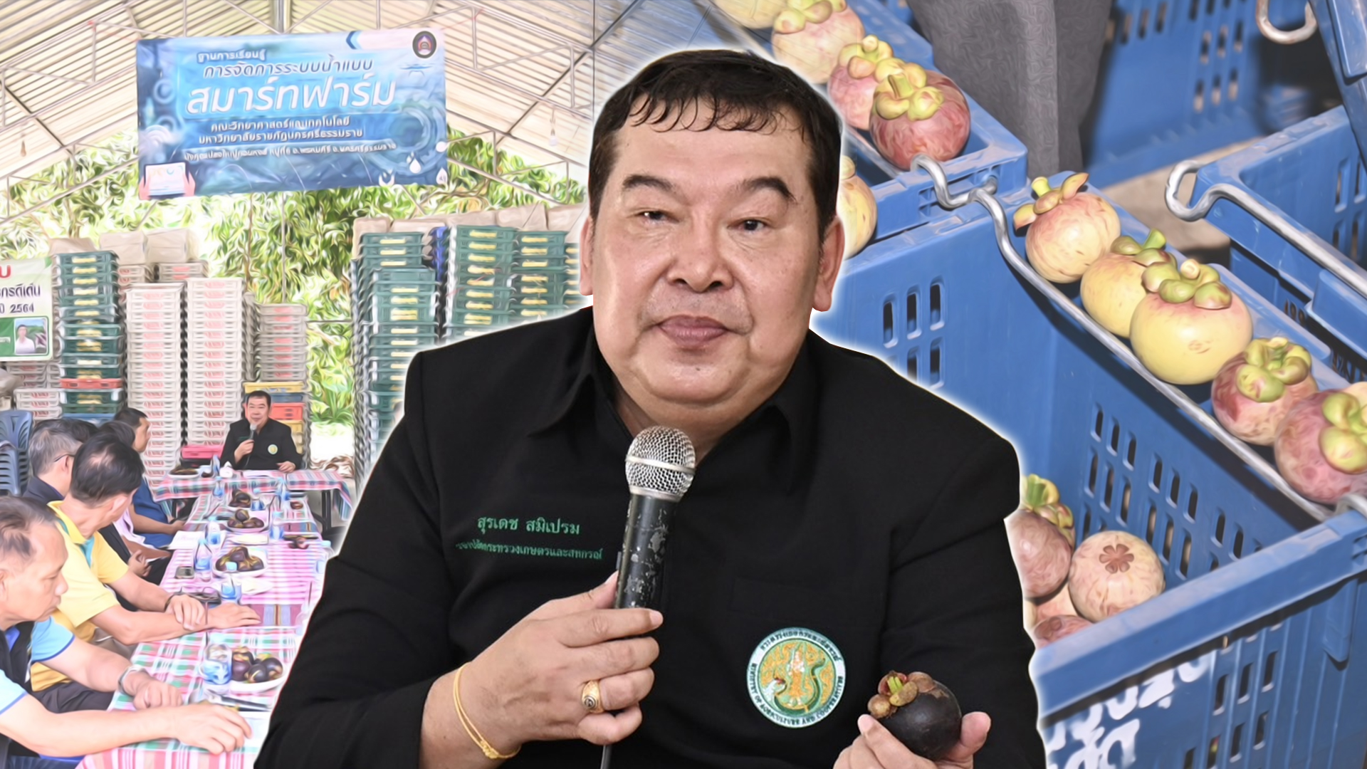 มัง 13