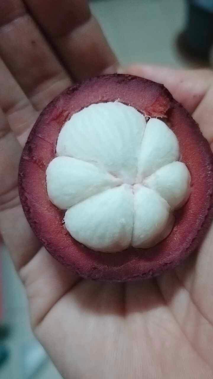 มัง 3
