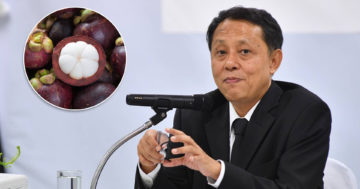 มังคุด3