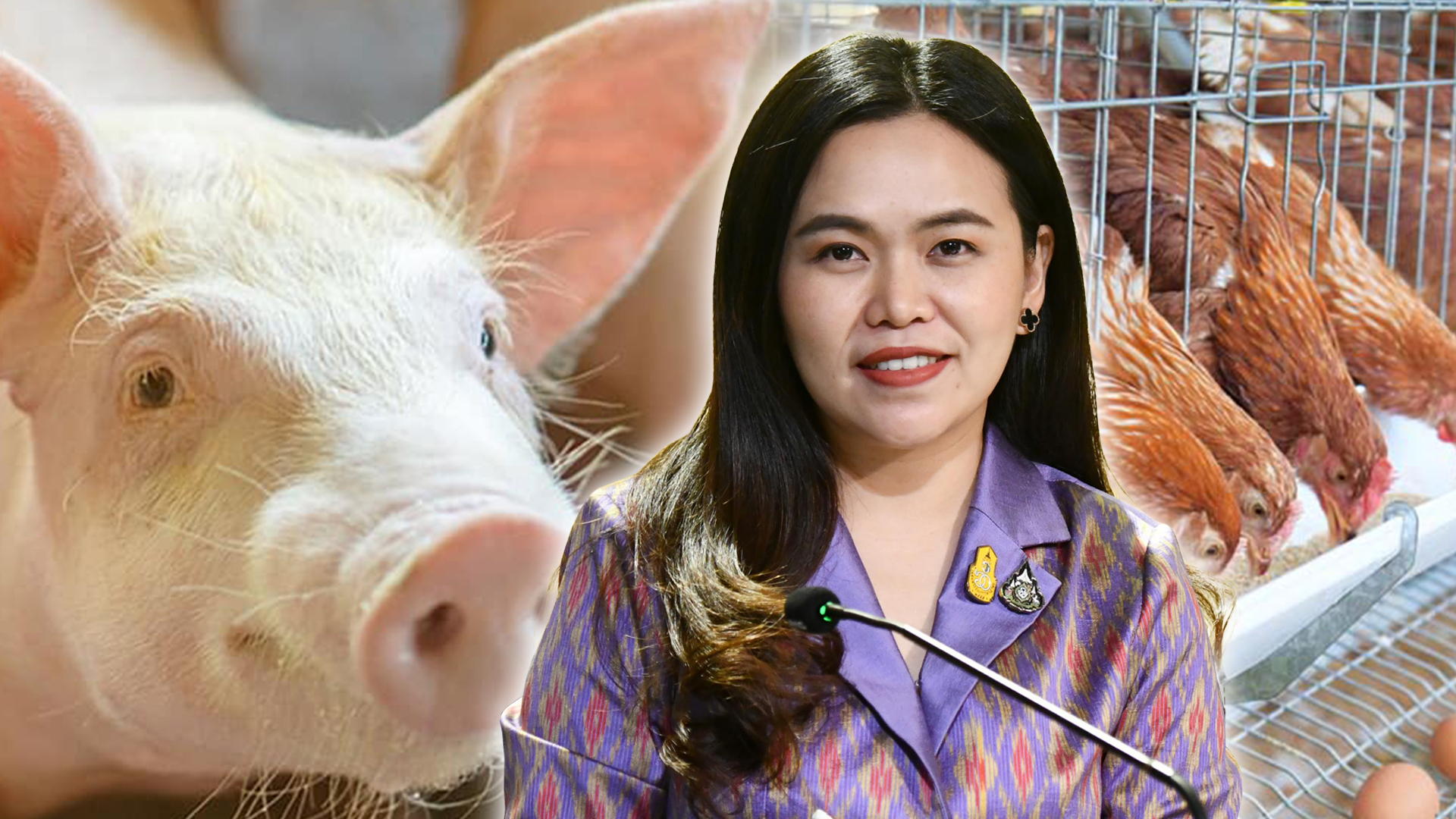 สนับสนุนค่าอาหาร3