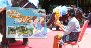 สวนนงนุช3