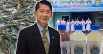 หัวเชื้อ3