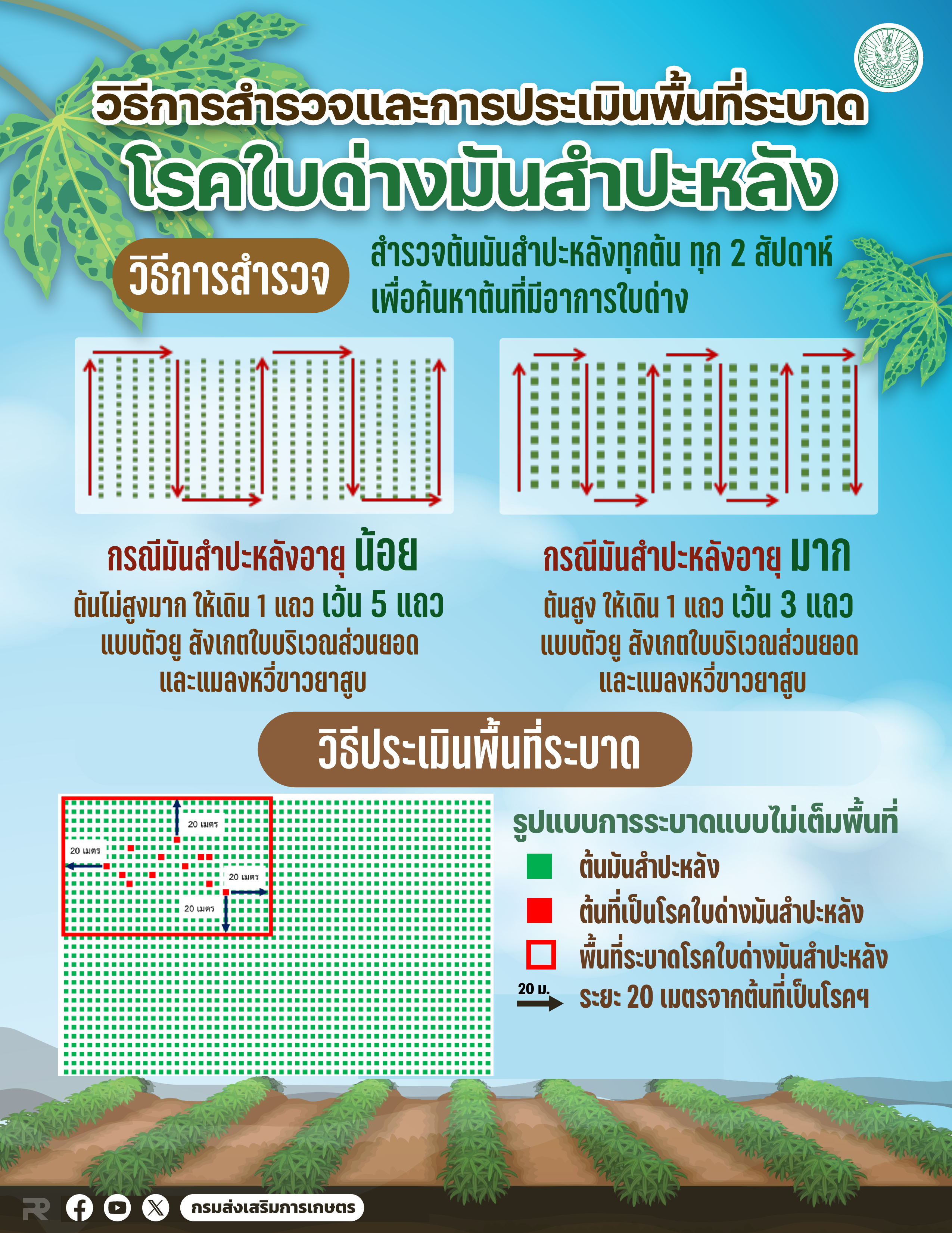 ใบด่าง01 01 0