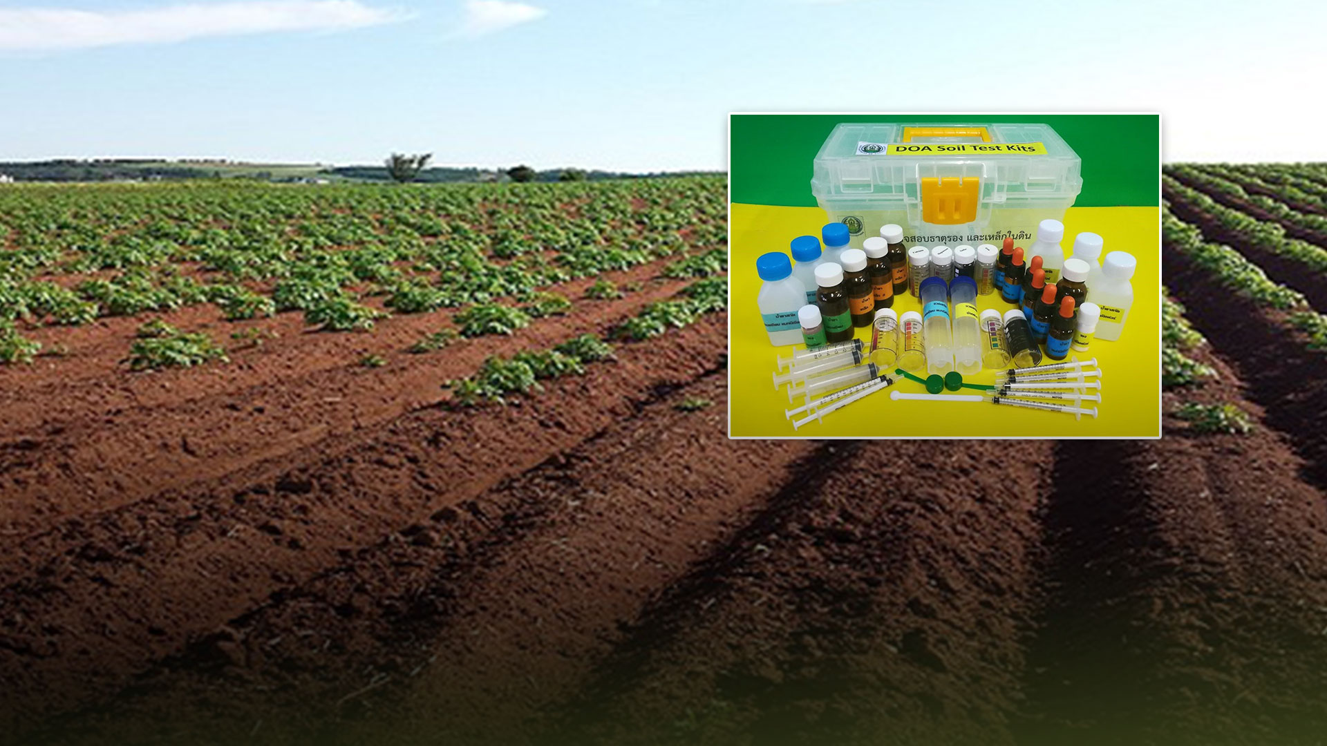 กรมวิชาการเกษตร แนะชุด “DOA-soil test kits” รู้ค่าดิน 1