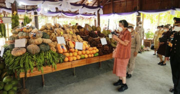 กรม 15